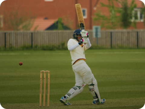 Man playing cricket