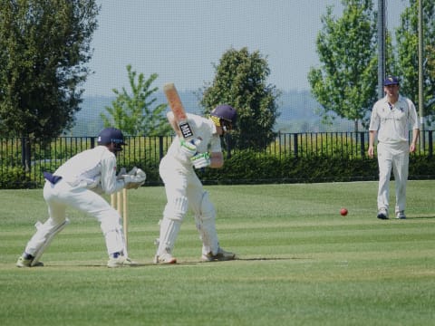 Cricket players